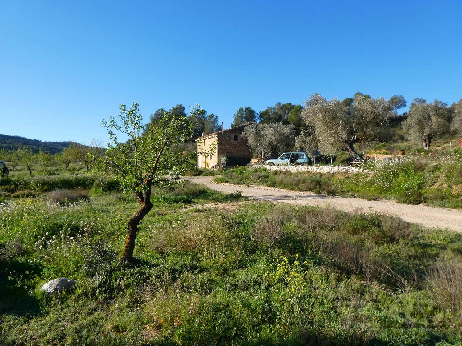  à vendre maison de campagne Maella Bajo Aragón-Caspe 8
