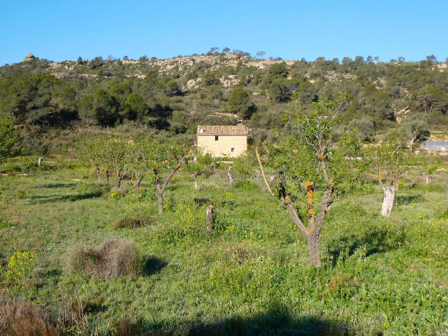  à vendre maison de campagne Maella Bajo Aragón-Caspe 5
