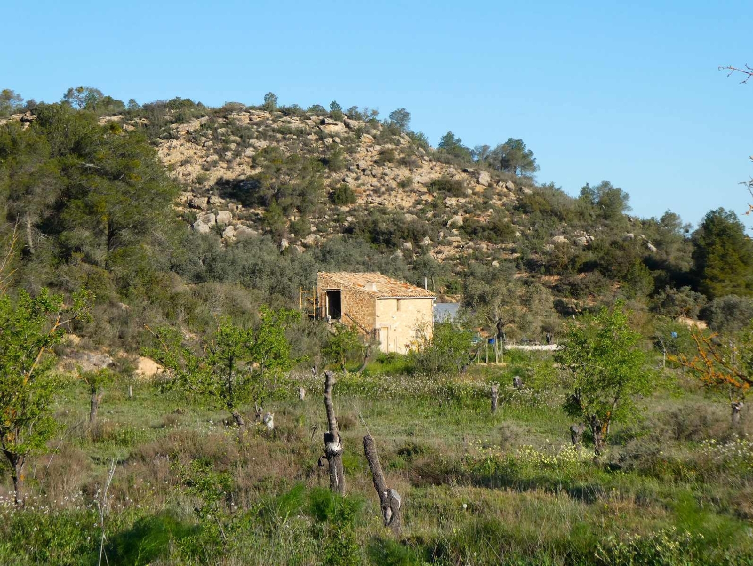 à vendre maison de campagne Maella Bajo Aragón-Caspe 3