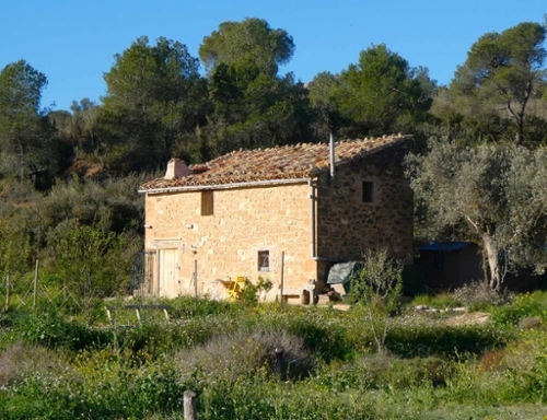 Maella Bajo Aragón-Caspe Landhaus Bild 6271165