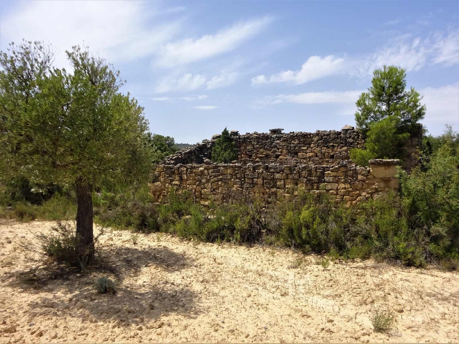  à vendre maison de campagne Maella Bajo Aragón-Caspe 12