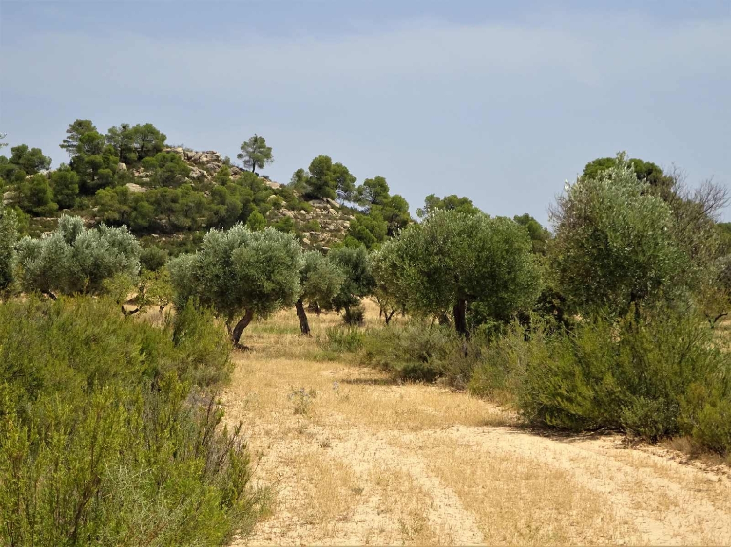  à vendre maison de campagne Maella Bajo Aragón-Caspe 4