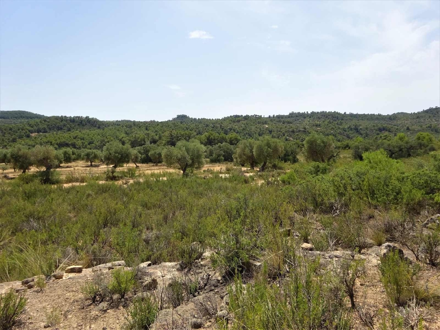  à vendre maison de campagne Maella Bajo Aragón-Caspe 3