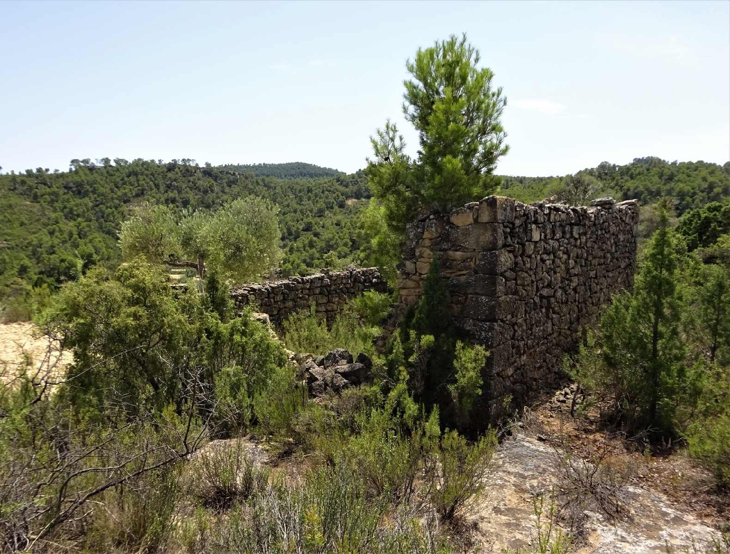  à vendre maison de campagne Maella Bajo Aragón-Caspe 13