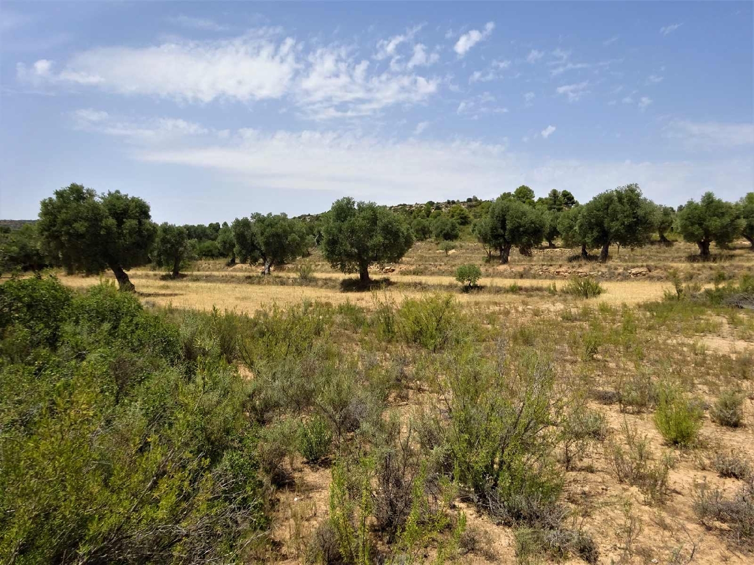  à vendre maison de campagne Maella Bajo Aragón-Caspe 15