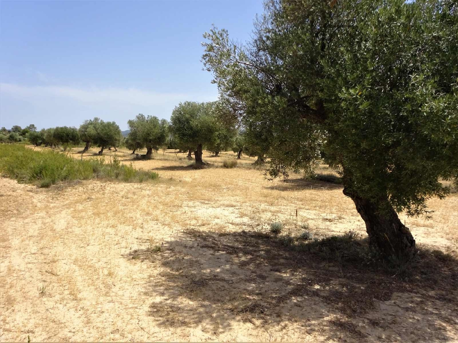  à vendre maison de campagne Maella Bajo Aragón-Caspe 6