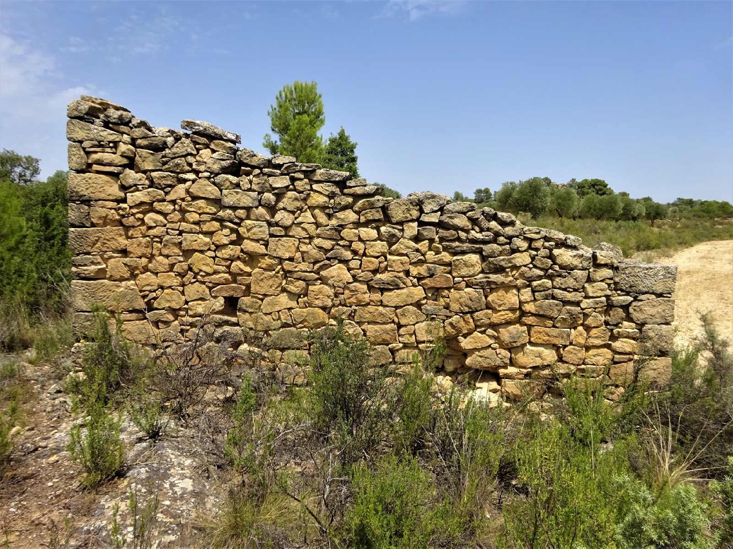  à vendre maison de campagne Maella Bajo Aragón-Caspe 9