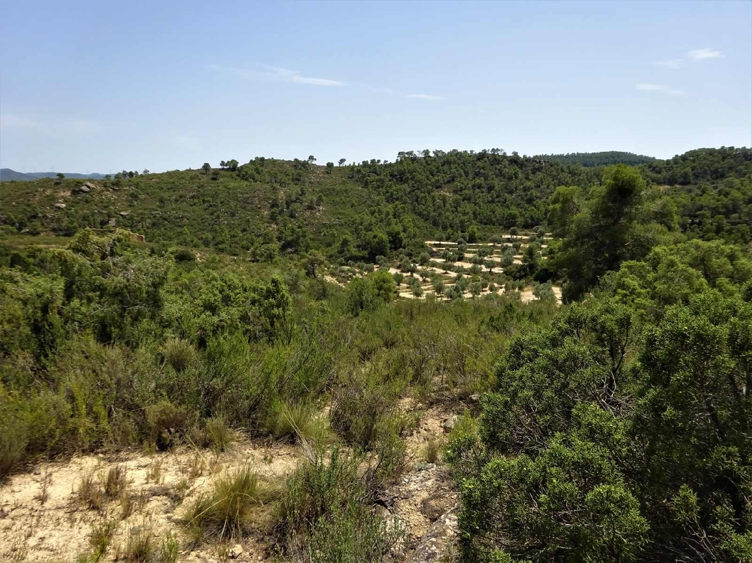  à vendre maison de campagne Maella Bajo Aragón-Caspe 10