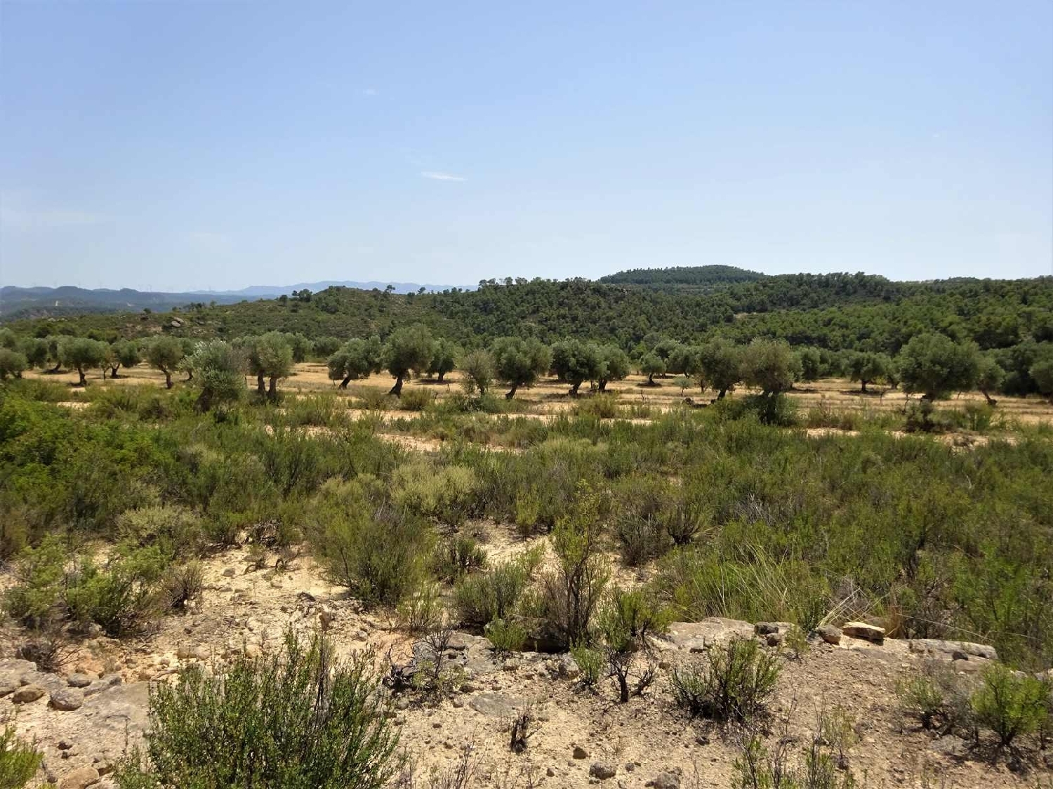  à vendre maison de campagne Maella Bajo Aragón-Caspe 2