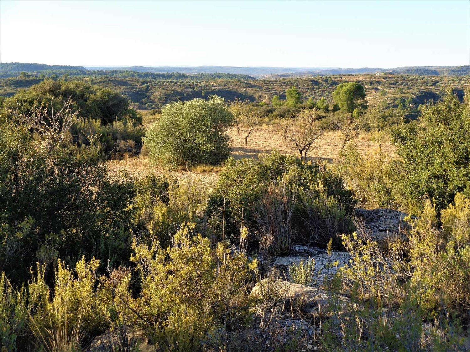  à vendre maison de campagne Maella Bajo Aragón-Caspe 11
