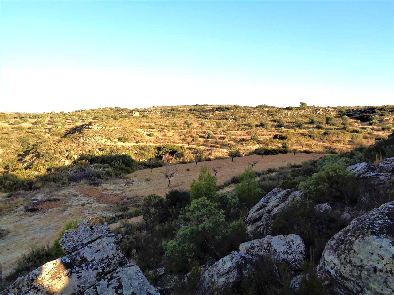  à vendre maison de campagne Maella Bajo Aragón-Caspe 3