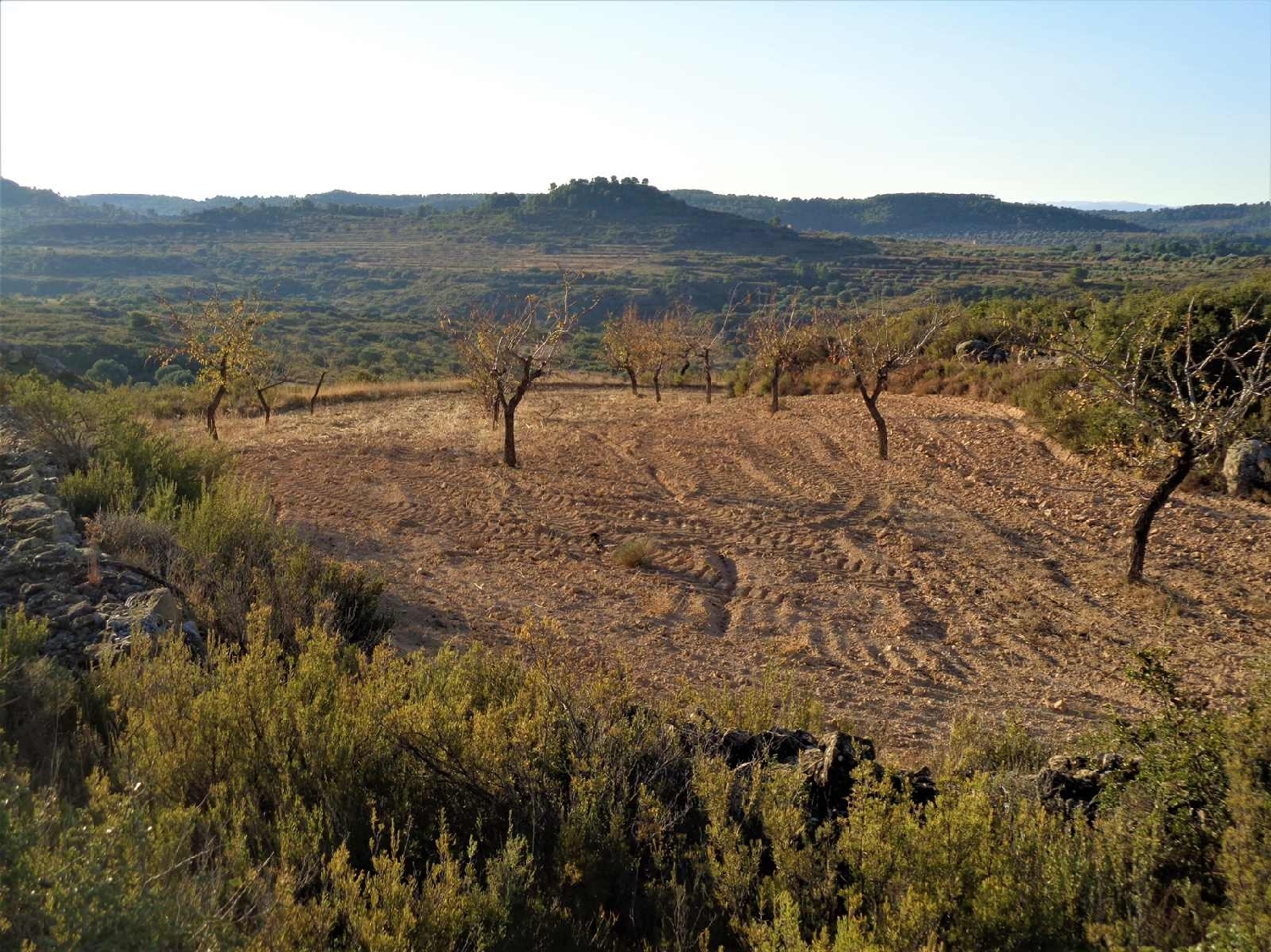  à vendre maison de campagne Maella Bajo Aragón-Caspe 12