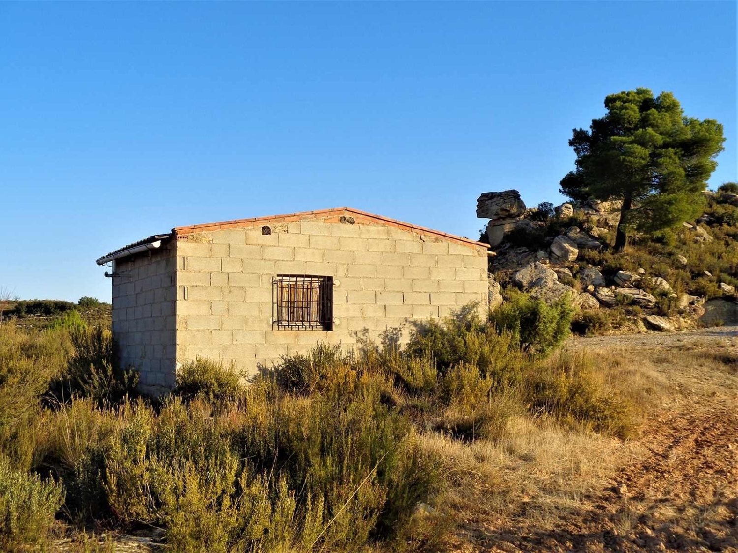  à vendre maison de campagne Maella Bajo Aragón-Caspe 9