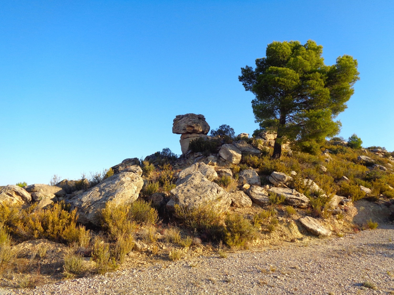  à vendre maison de campagne Maella Bajo Aragón-Caspe 4