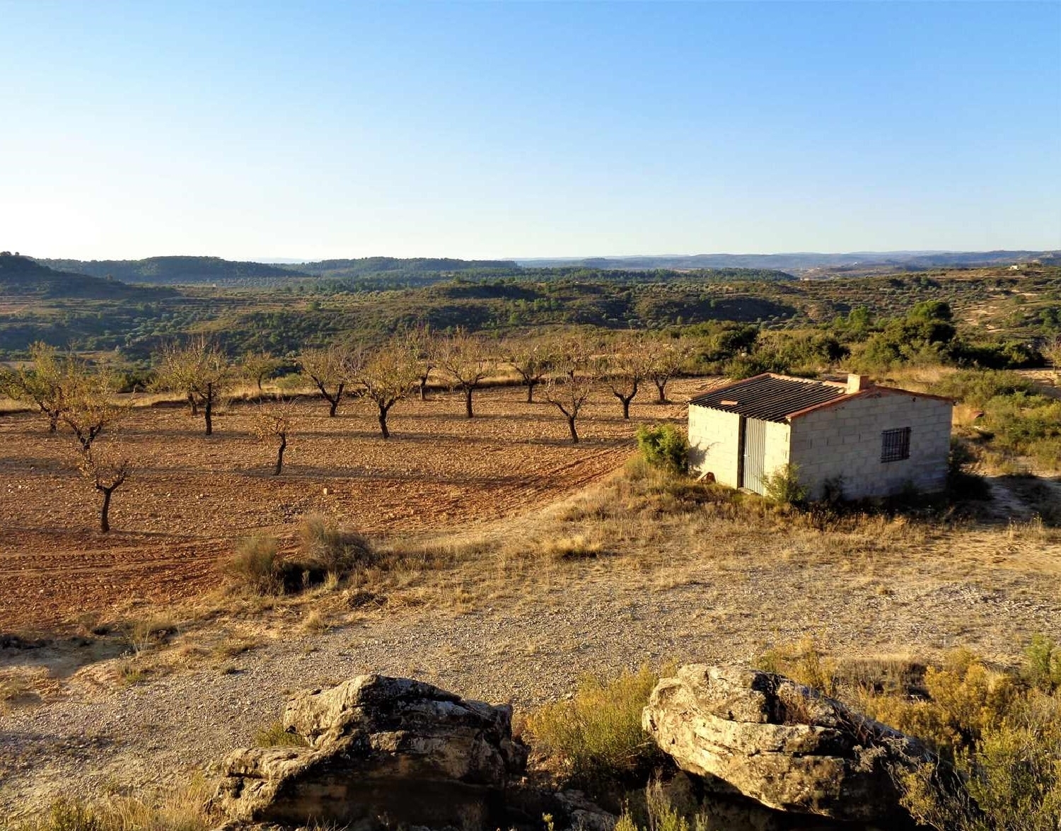  à vendre maison de campagne Maella Bajo Aragón-Caspe 5