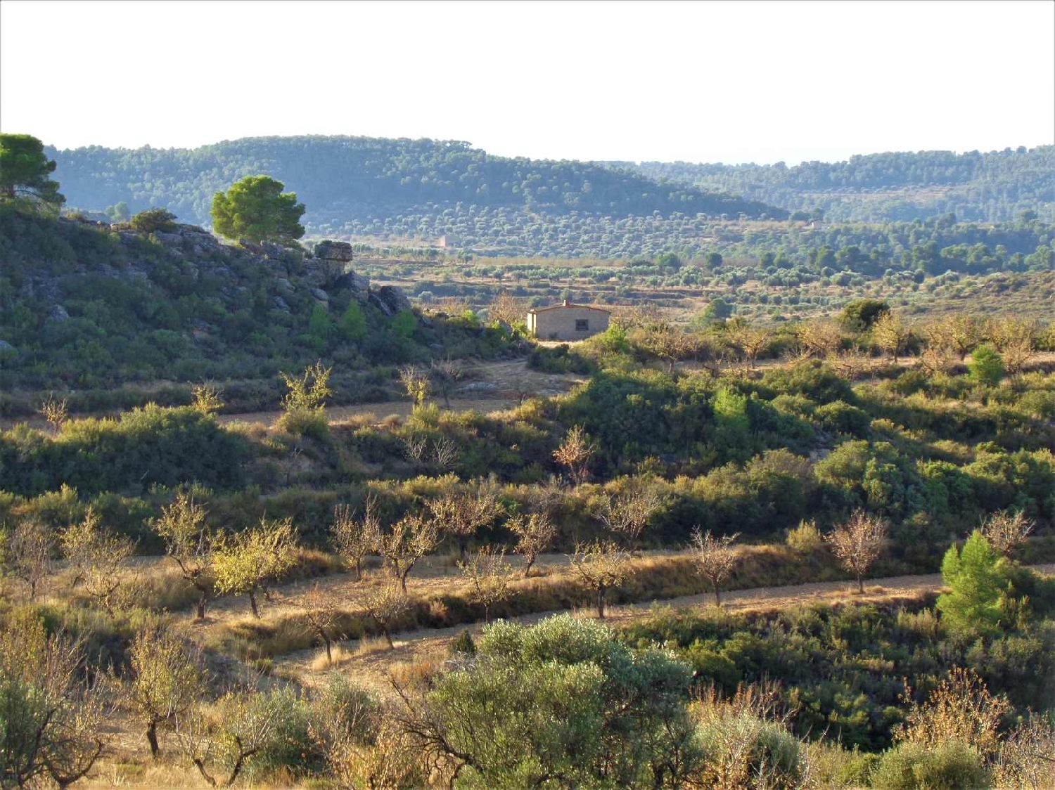  à vendre maison de campagne Maella Bajo Aragón-Caspe 14