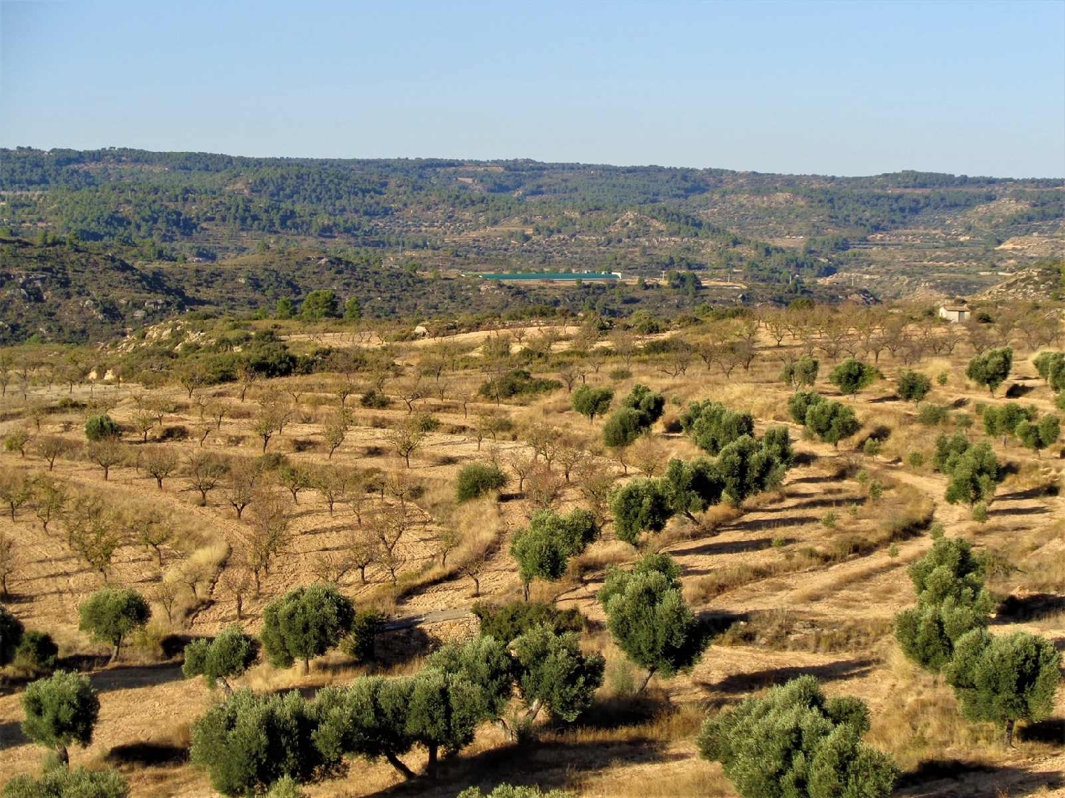  à vendre maison de campagne Maella Bajo Aragón-Caspe 1