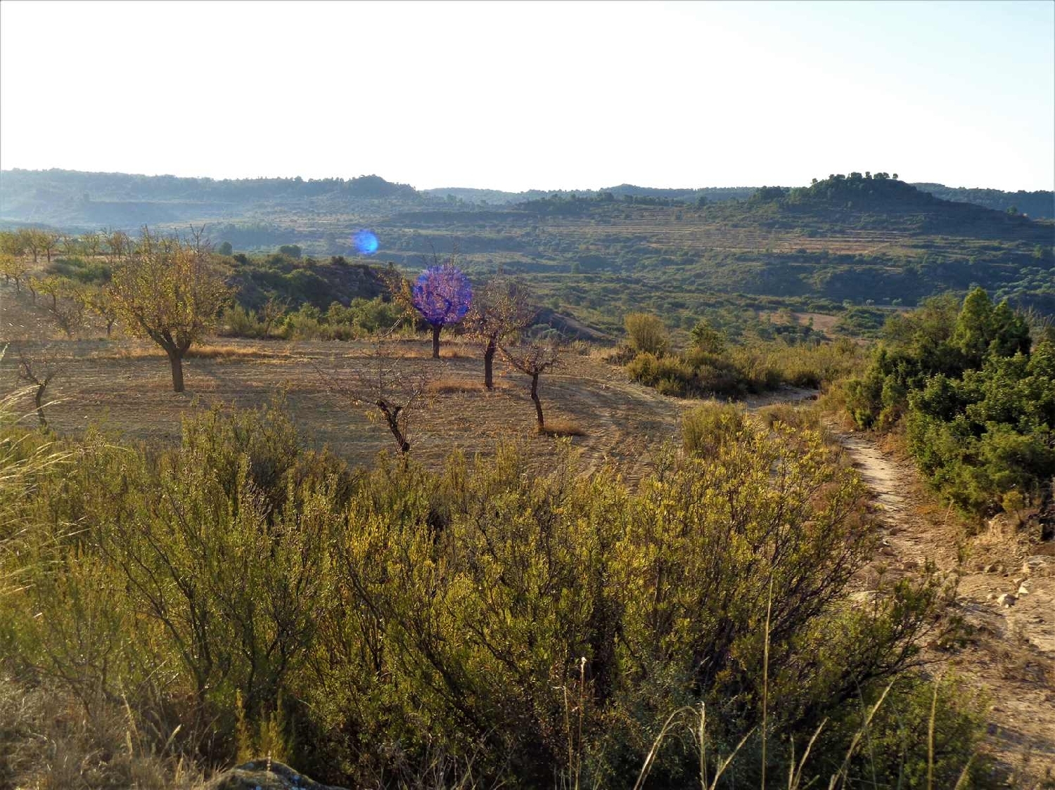  à vendre maison de campagne Maella Bajo Aragón-Caspe 2
