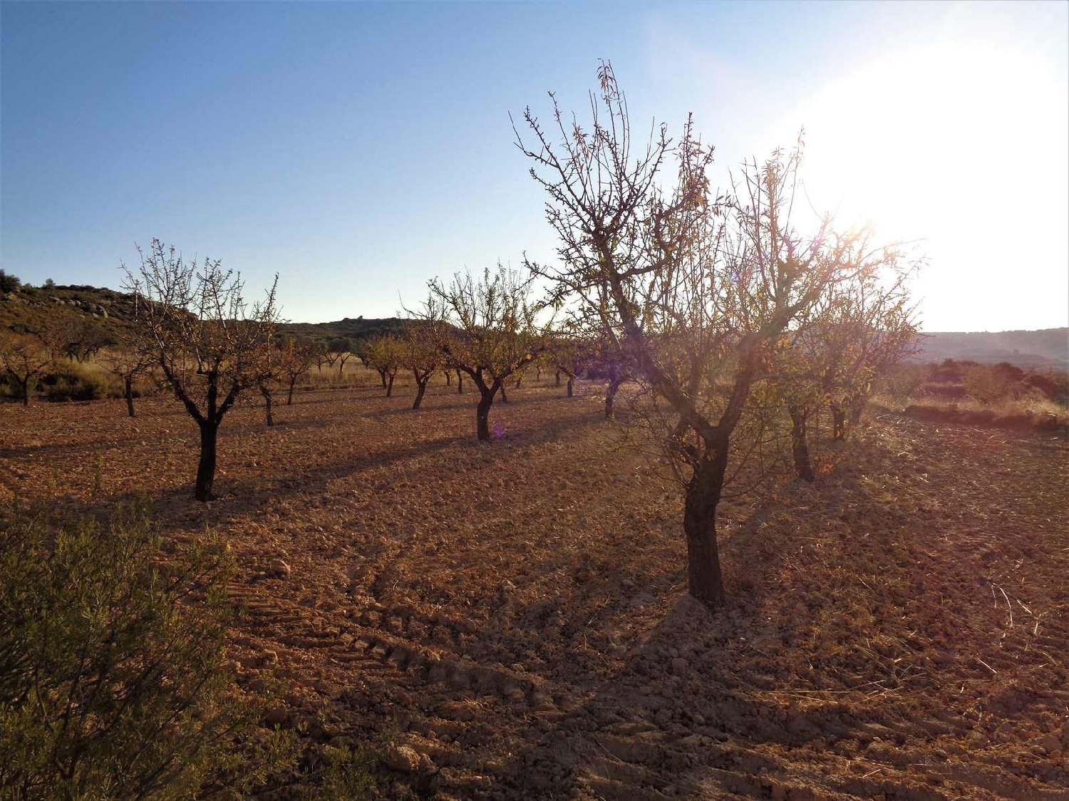  à vendre maison de campagne Maella Bajo Aragón-Caspe 13