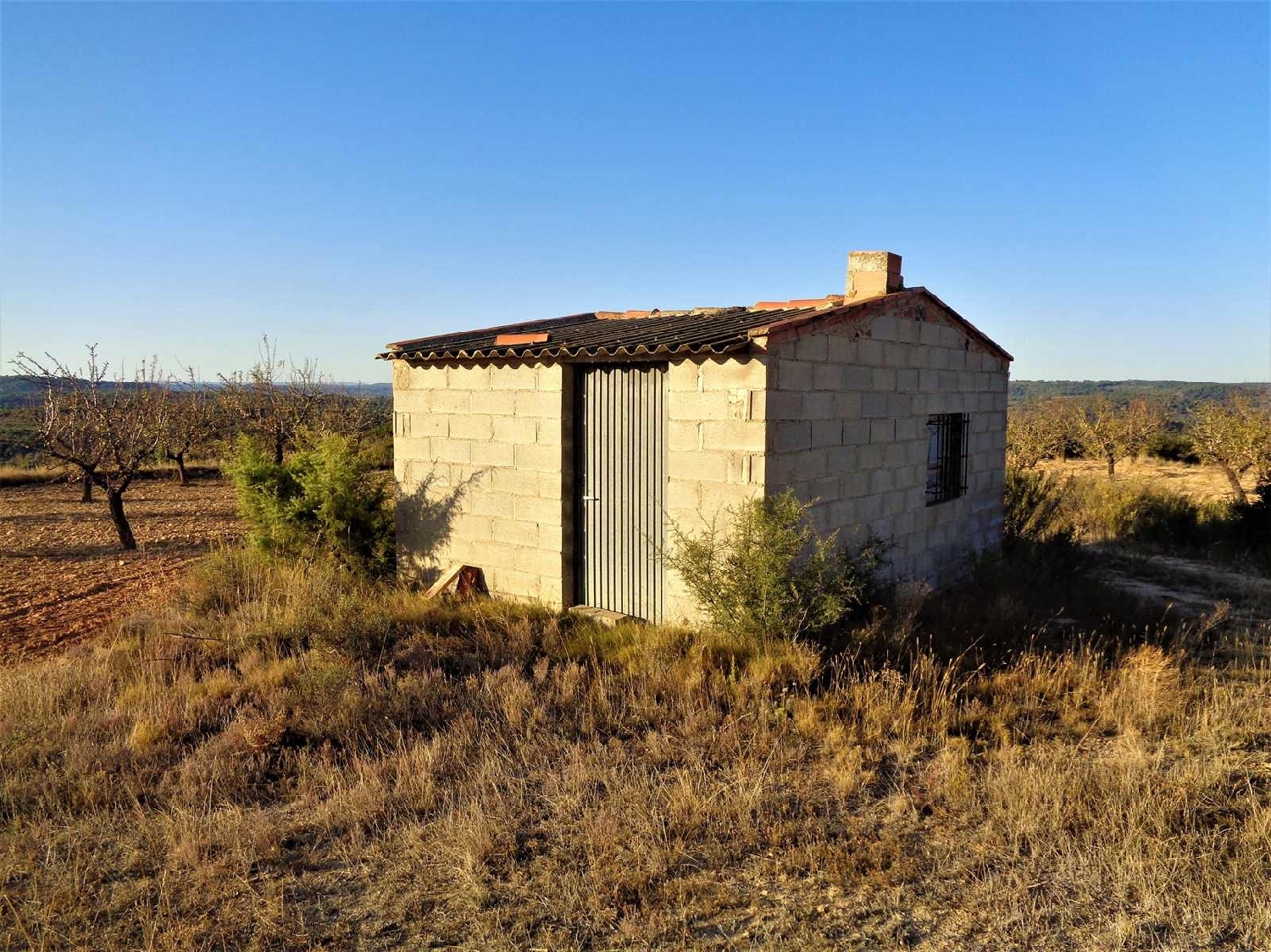  à vendre maison de campagne Maella Bajo Aragón-Caspe 6