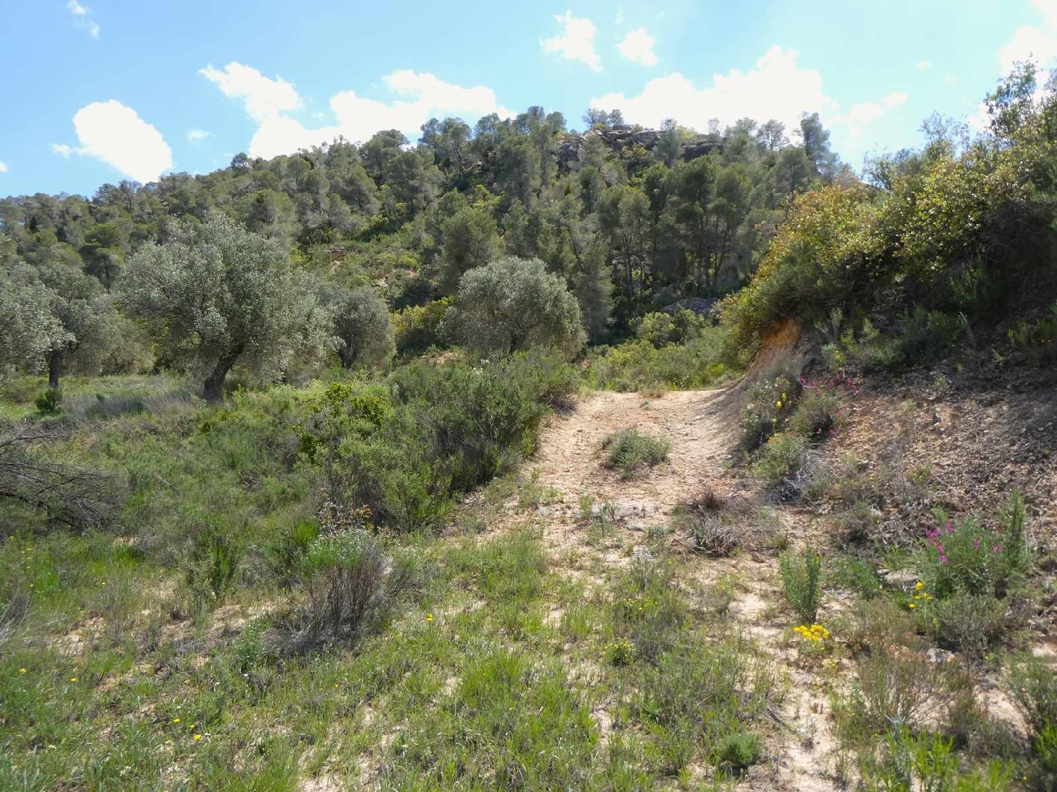  kaufen Landhaus Maella Bajo Aragón-Caspe 3