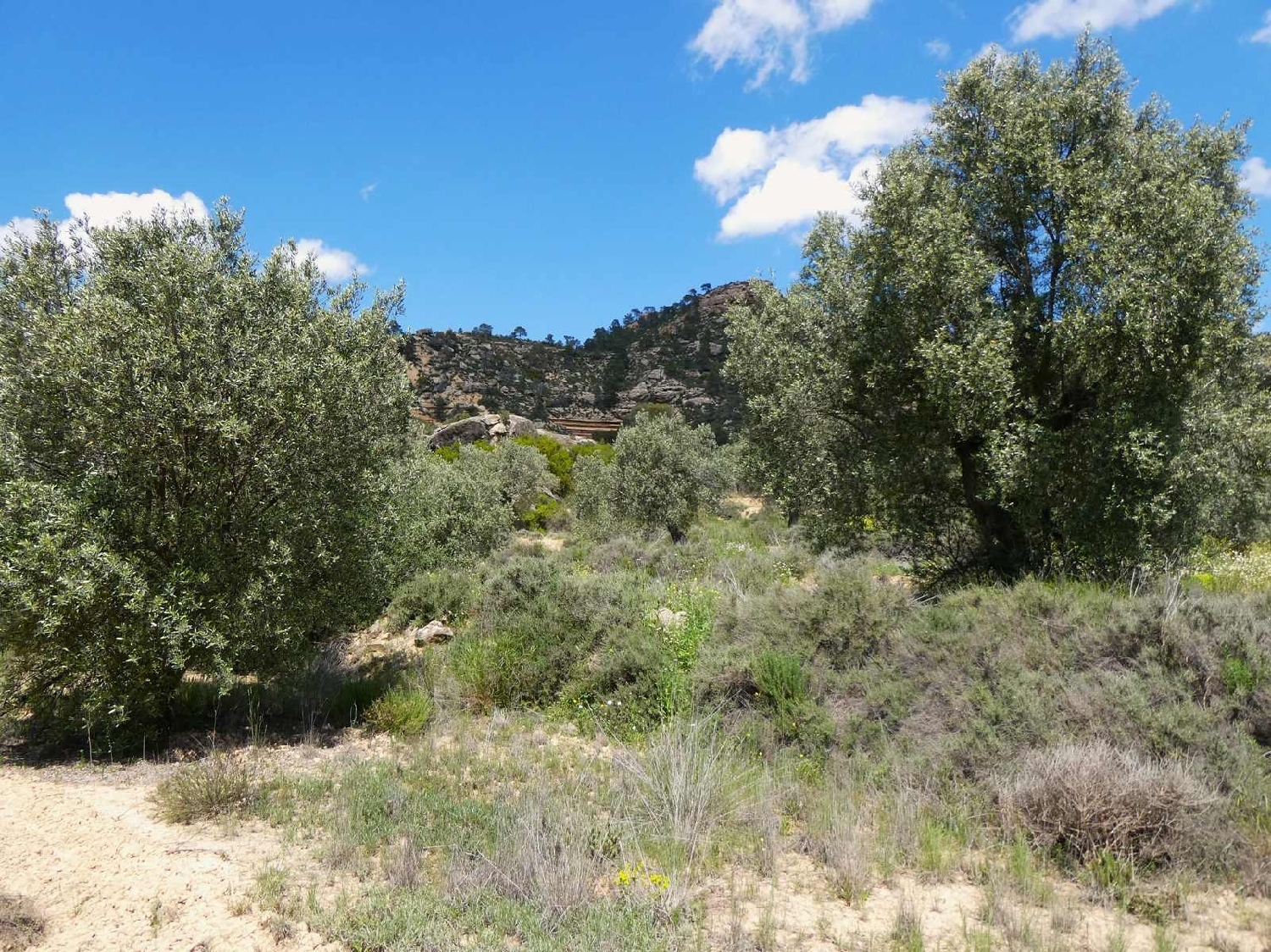  kaufen Landhaus Maella Bajo Aragón-Caspe 5