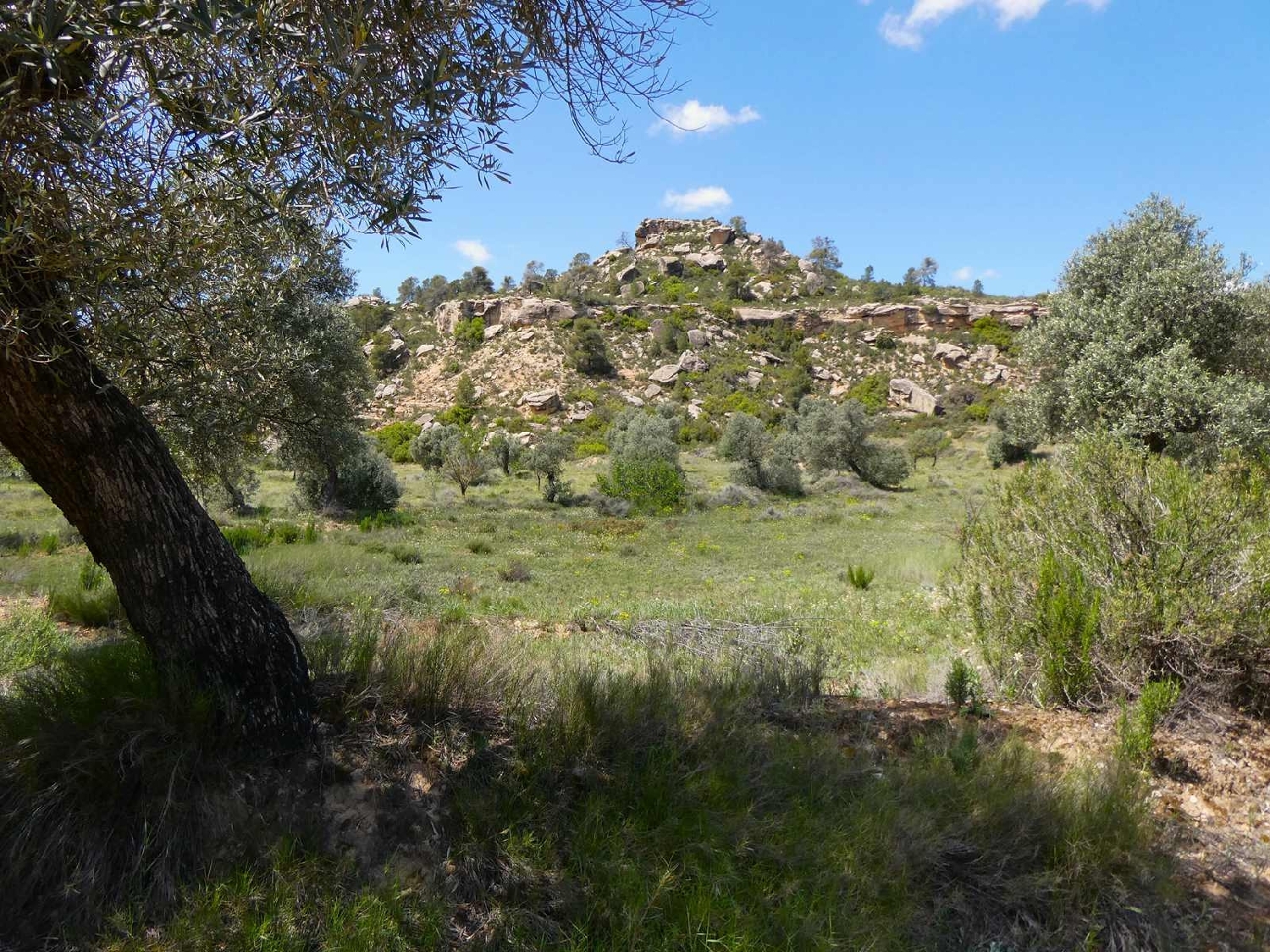 kaufen Landhaus Maella Bajo Aragón-Caspe 2