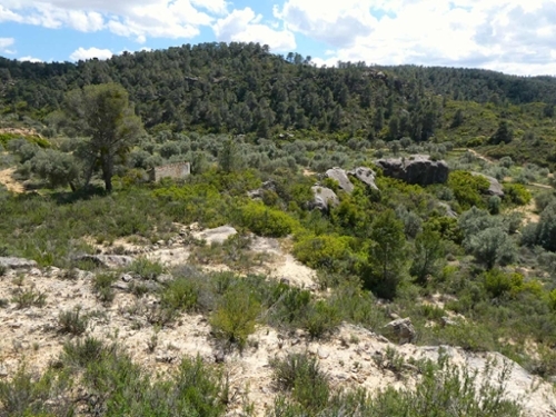 Maella Bajo Aragón-Caspe Landhaus Bild 6271176