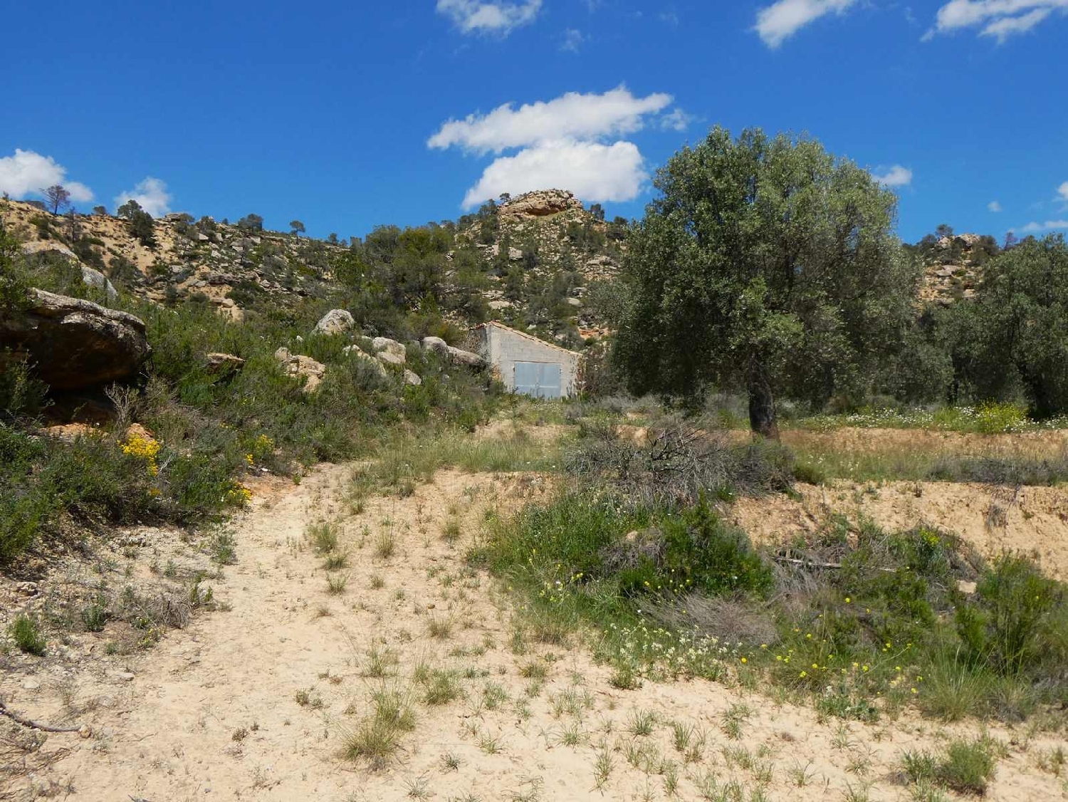  kaufen Landhaus Maella Bajo Aragón-Caspe 6