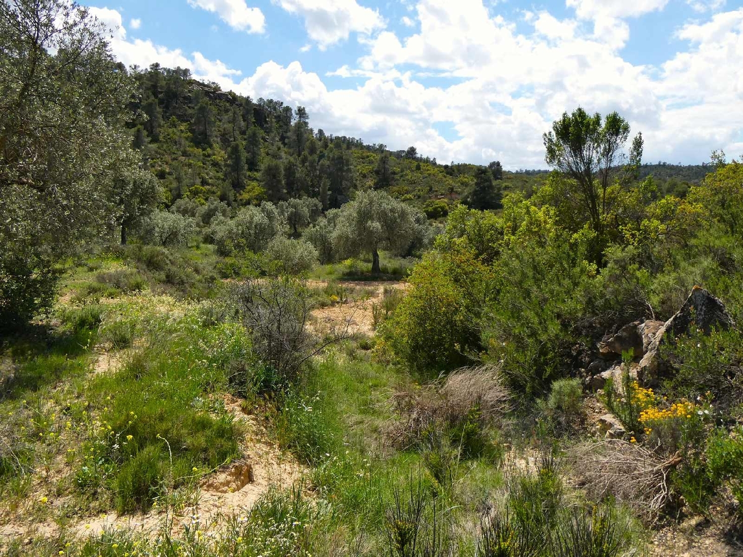  kaufen Landhaus Maella Bajo Aragón-Caspe 7