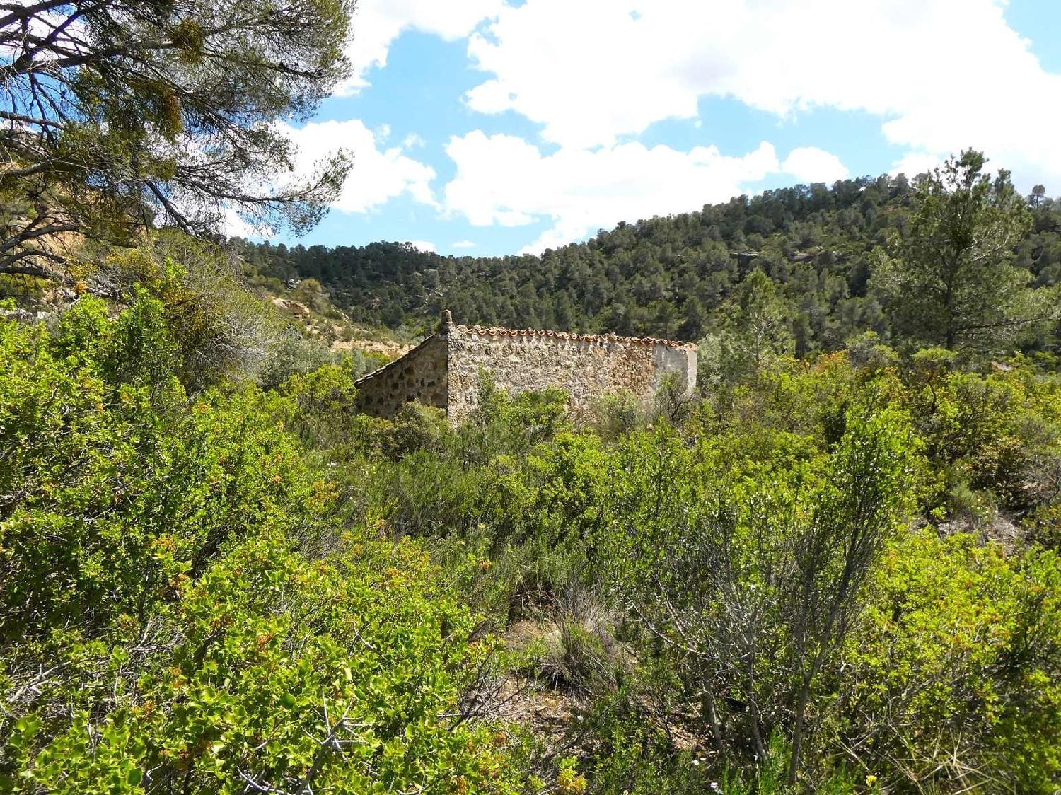  kaufen Landhaus Maella Bajo Aragón-Caspe 15