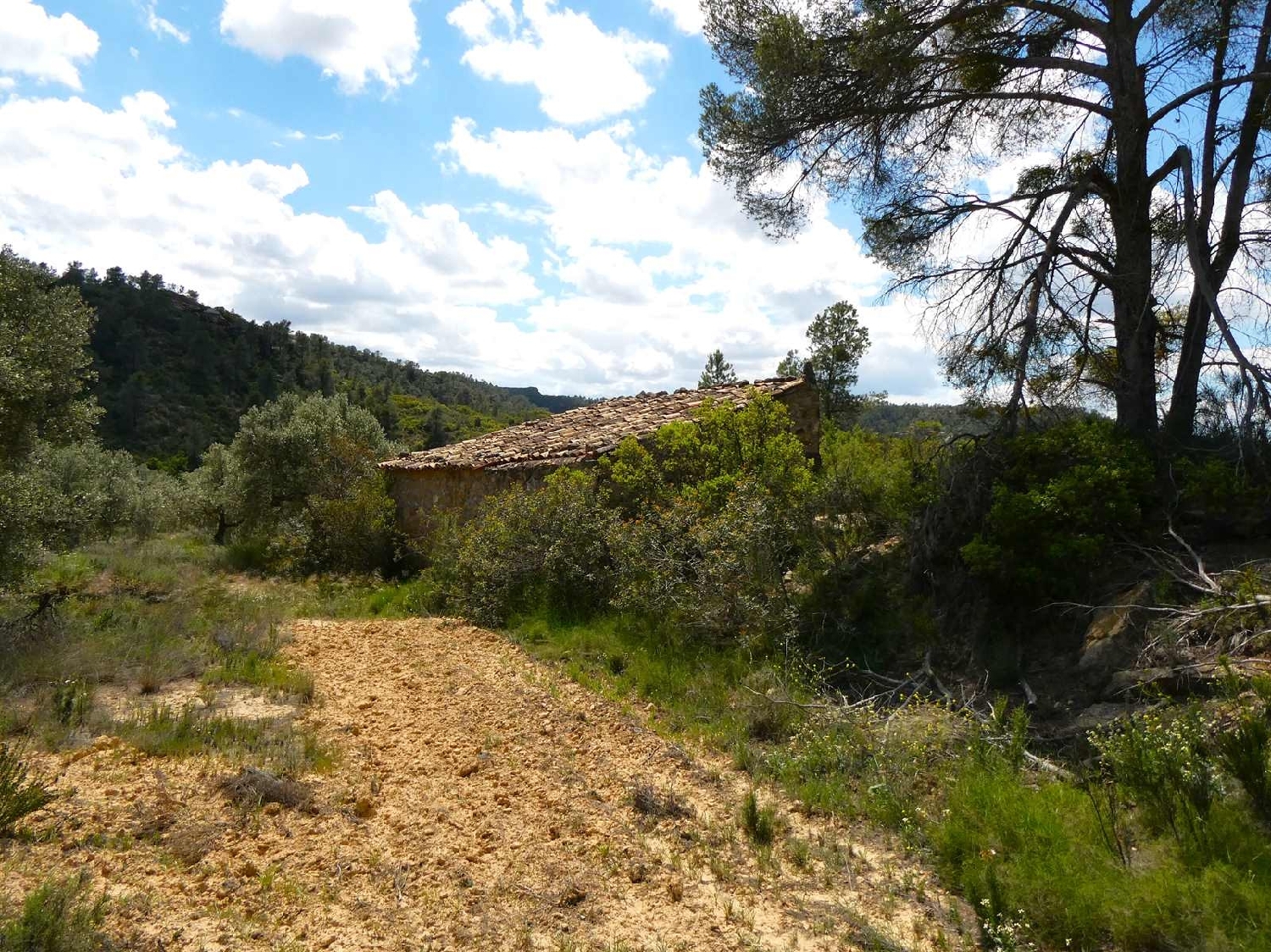  kaufen Landhaus Maella Bajo Aragón-Caspe 14