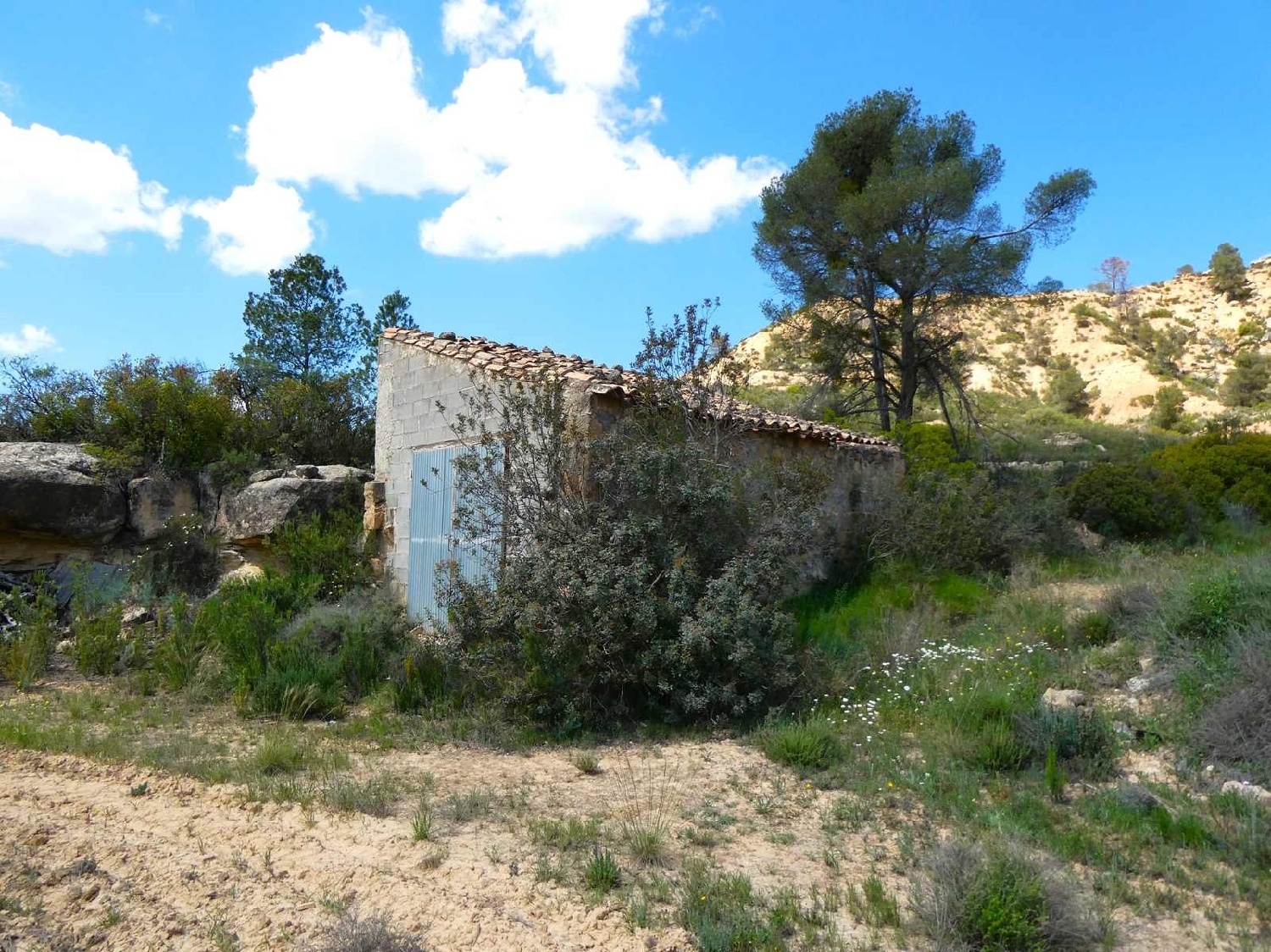  kaufen Landhaus Maella Bajo Aragón-Caspe 13