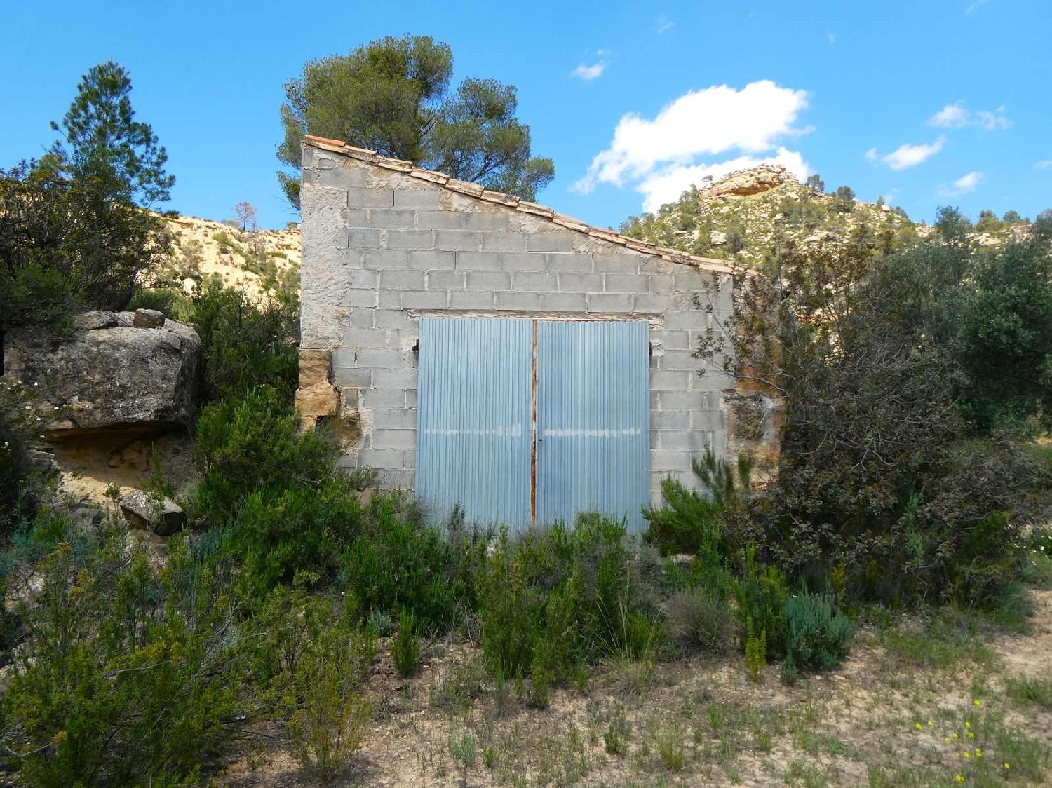  kaufen Landhaus Maella Bajo Aragón-Caspe 9