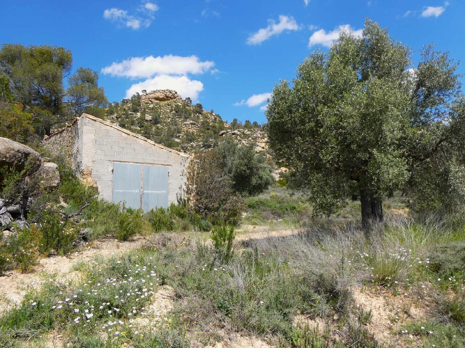  kaufen Landhaus Maella Bajo Aragón-Caspe 8