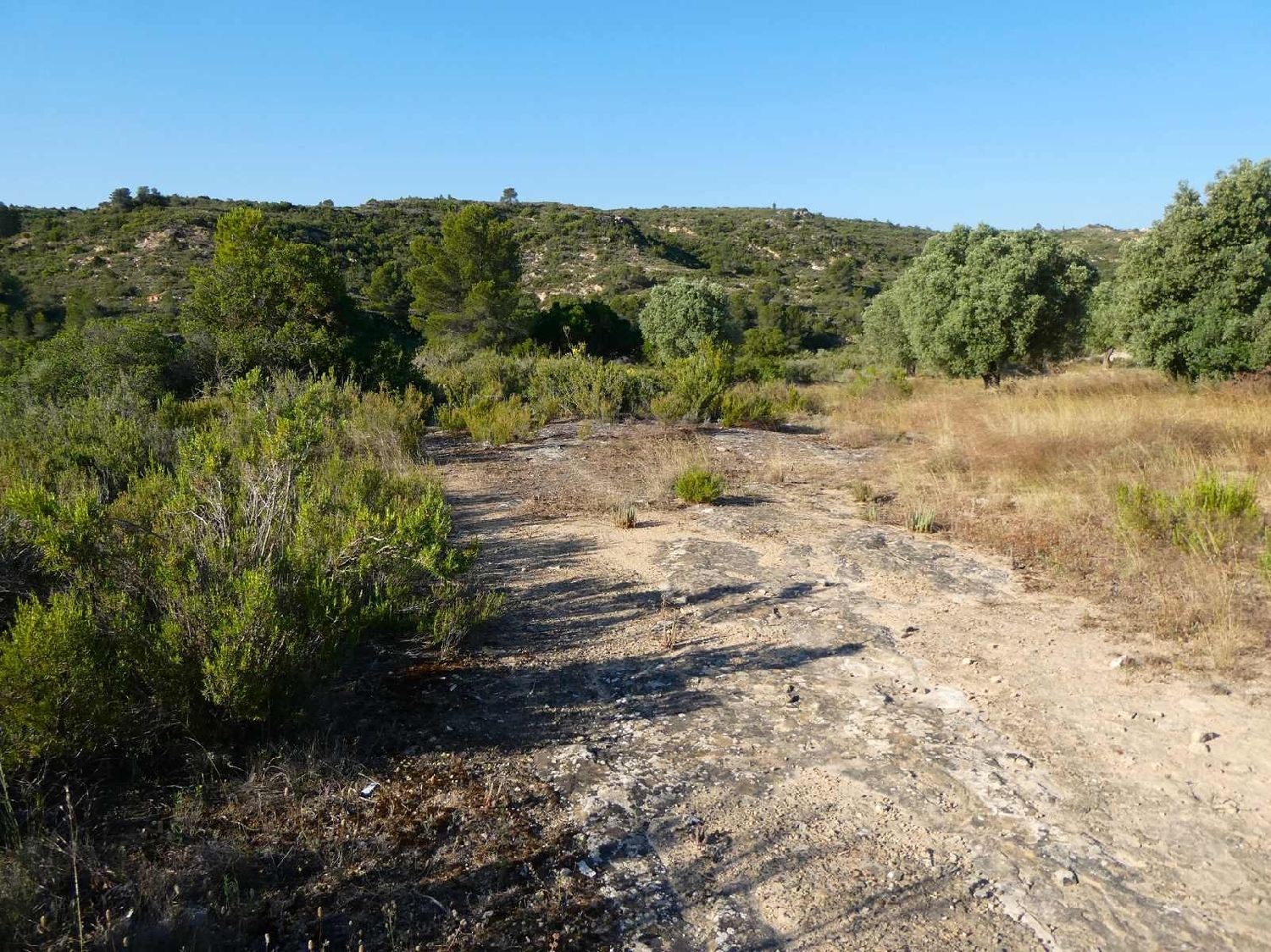  à vendre maison de campagne Maella Bajo Aragón-Caspe 9