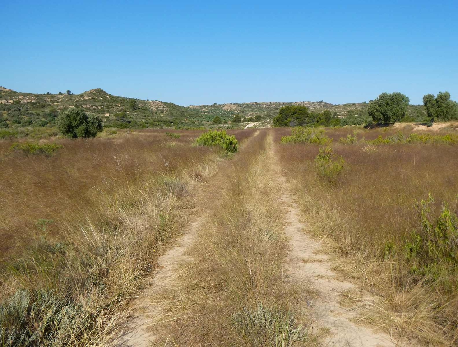  à vendre maison de campagne Maella Bajo Aragón-Caspe 2
