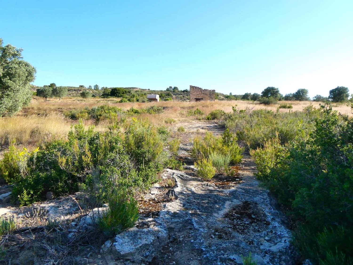  à vendre maison de campagne Maella Bajo Aragón-Caspe 6