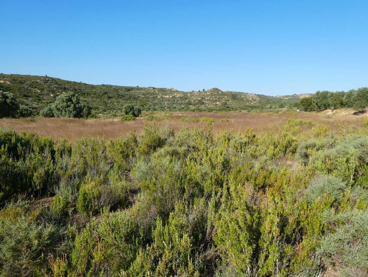  à vendre maison de campagne Maella Bajo Aragón-Caspe 5