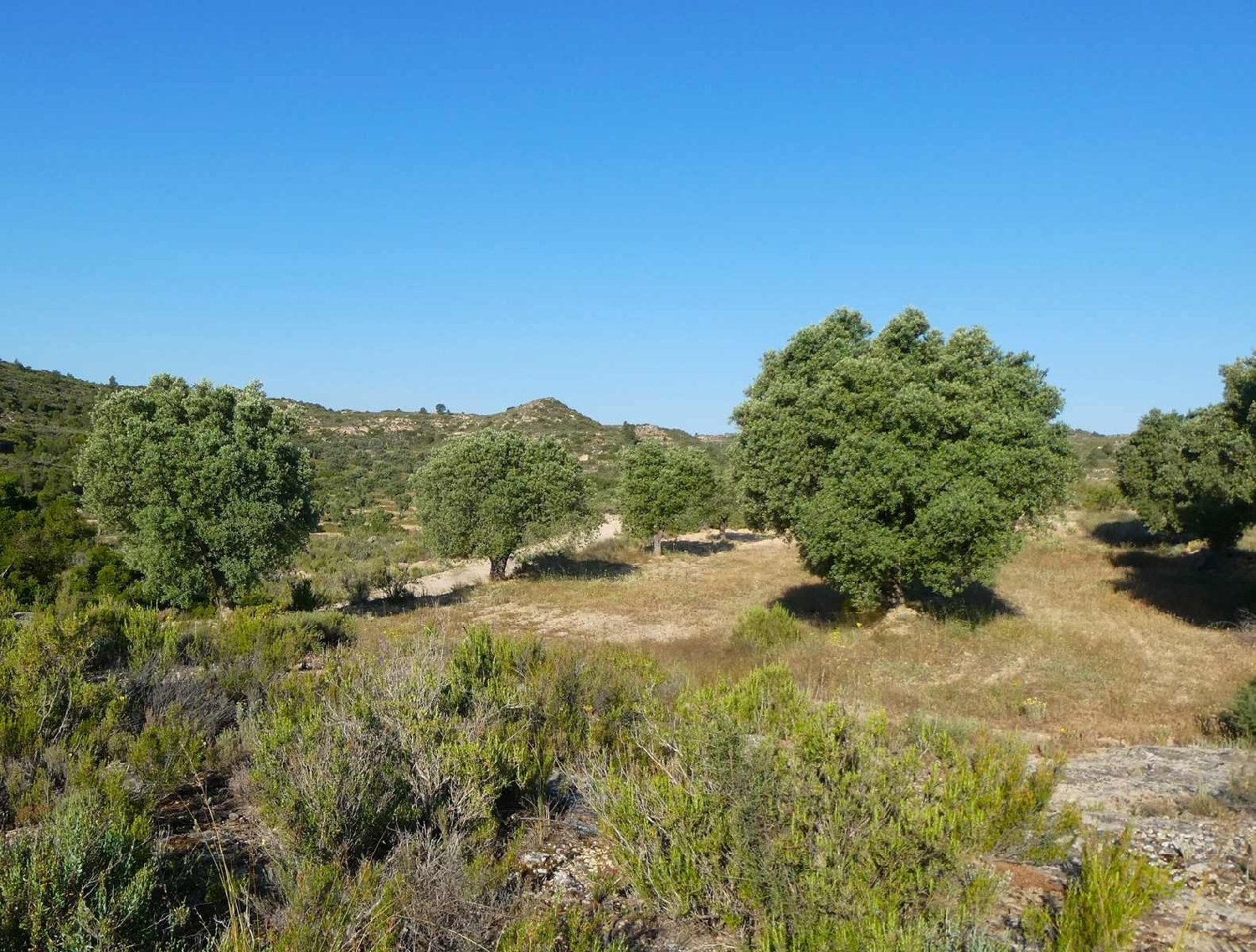  à vendre maison de campagne Maella Bajo Aragón-Caspe 8