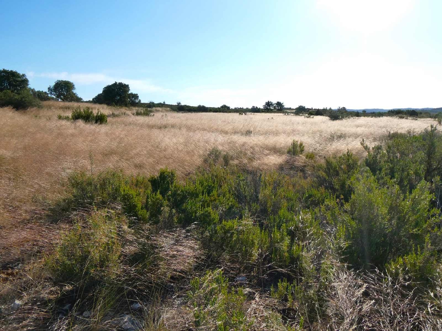  à vendre maison de campagne Maella Bajo Aragón-Caspe 11