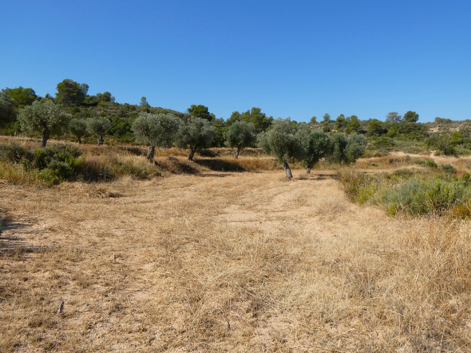  kaufen Landhaus Maella Bajo Aragón-Caspe 4