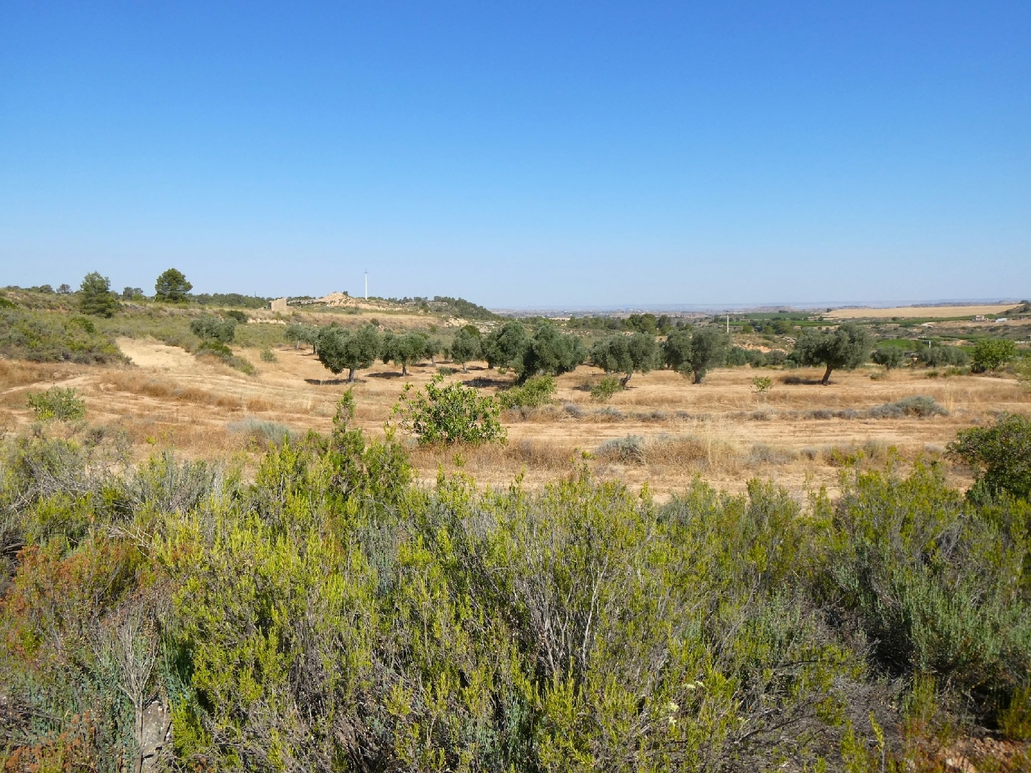  kaufen Landhaus Maella Bajo Aragón-Caspe 2