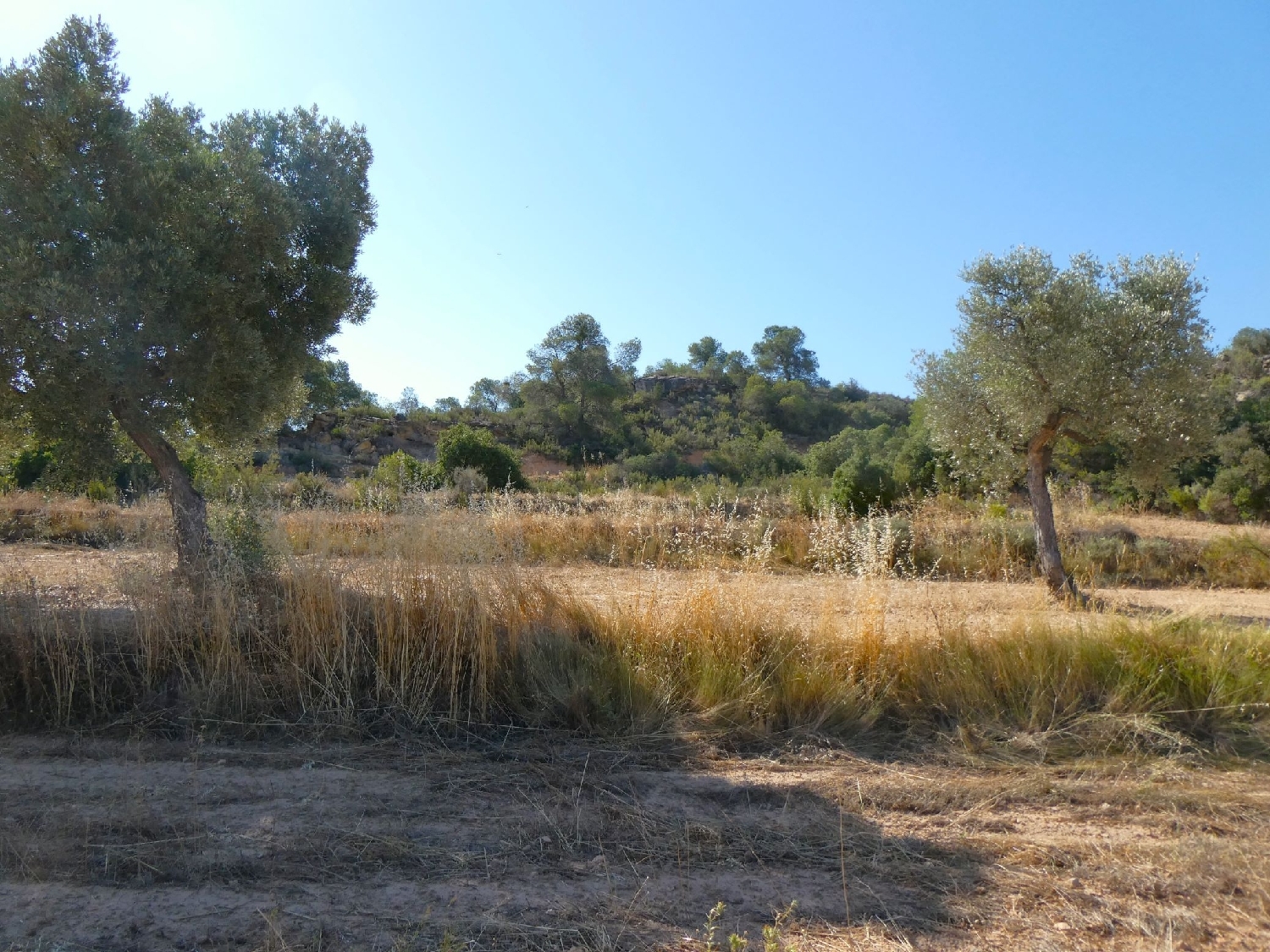 kaufen Landhaus Maella Bajo Aragón-Caspe 7