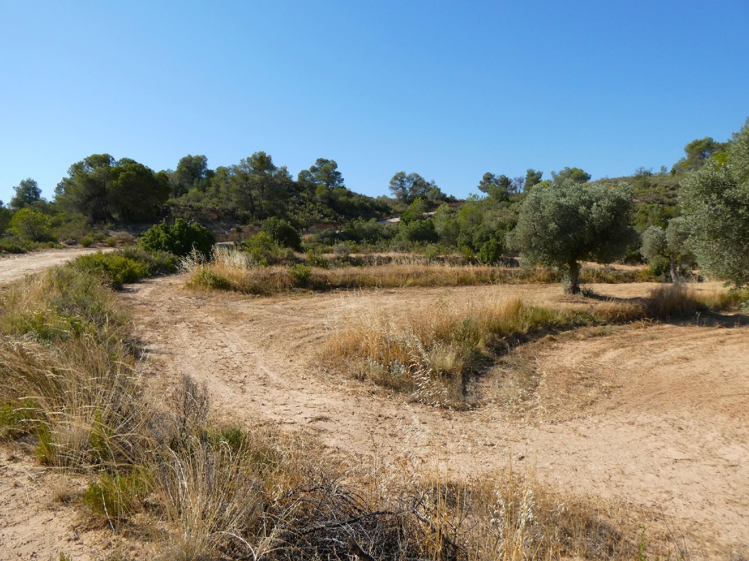  kaufen Landhaus Maella Bajo Aragón-Caspe 5