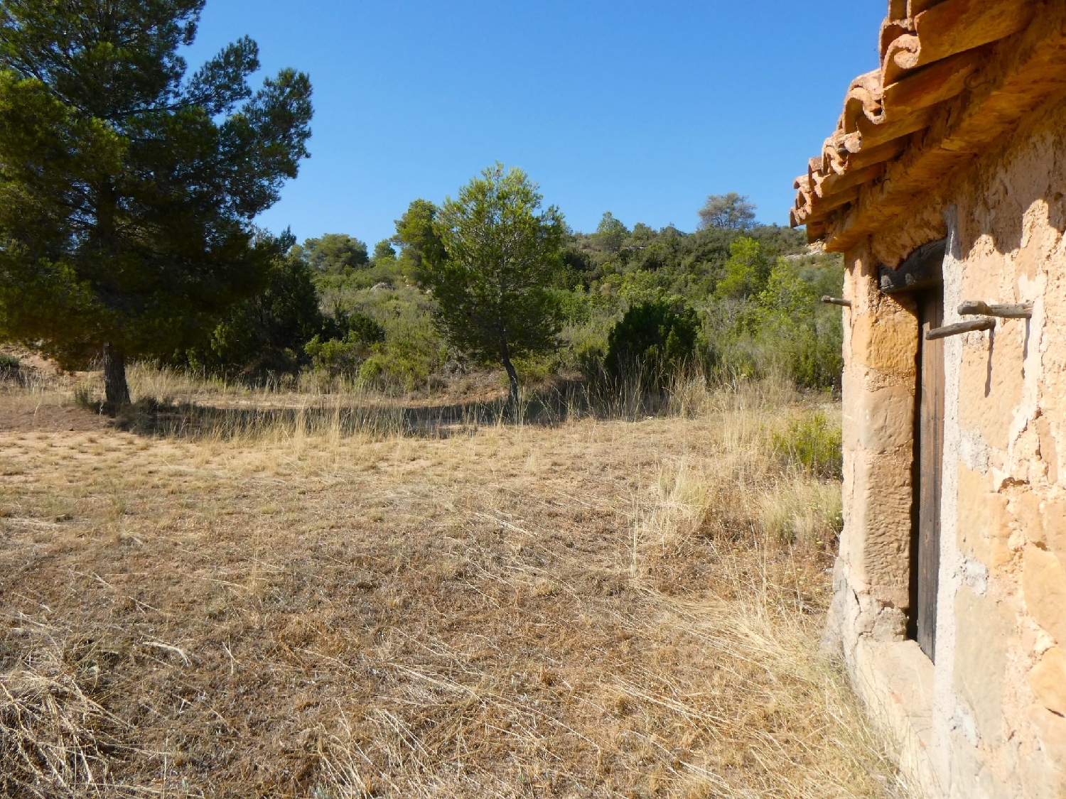  kaufen Landhaus Maella Bajo Aragón-Caspe 15