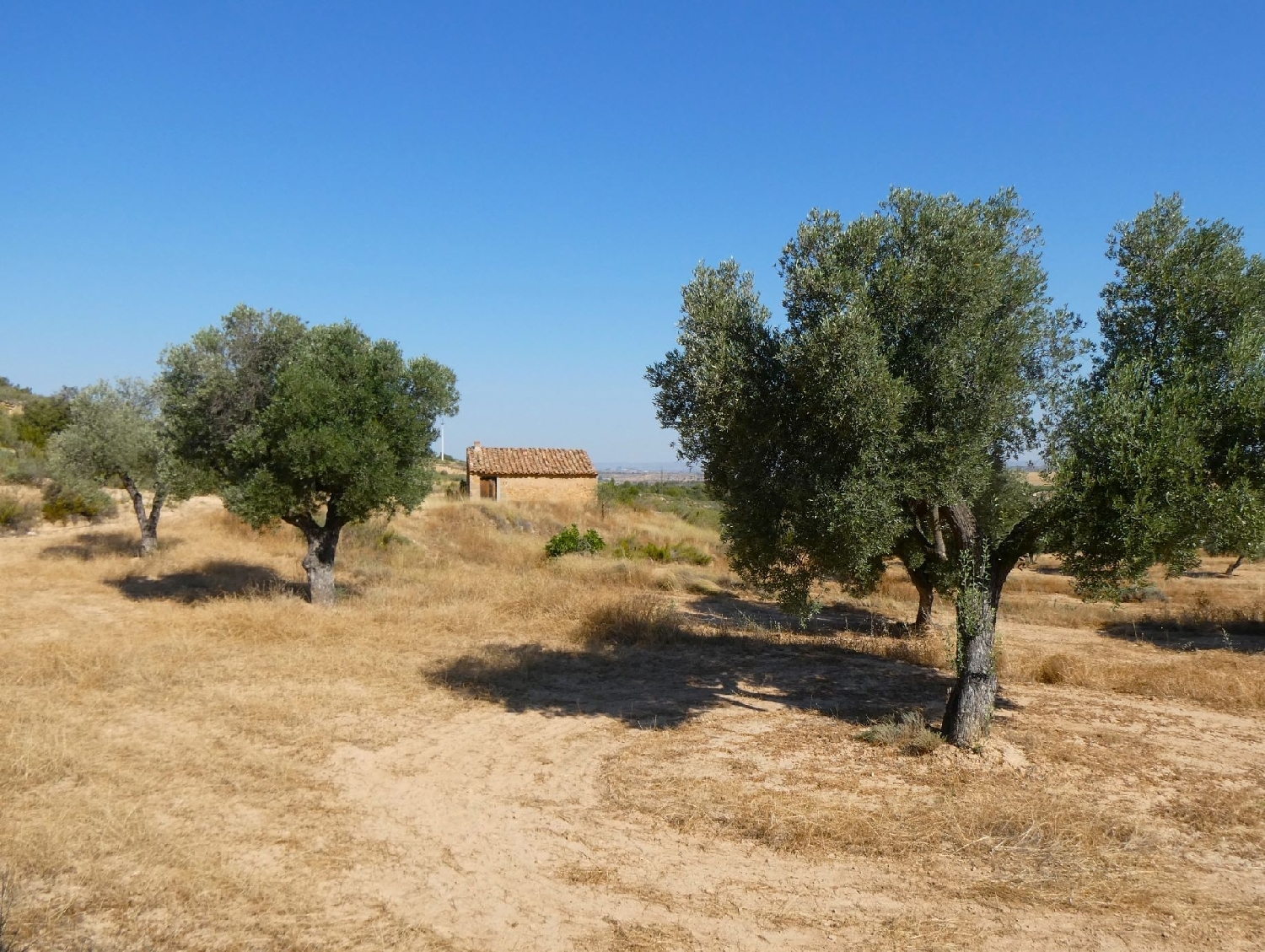  kaufen Landhaus Maella Bajo Aragón-Caspe 9