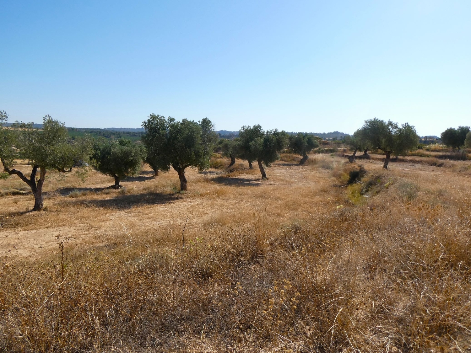  kaufen Landhaus Maella Bajo Aragón-Caspe 11
