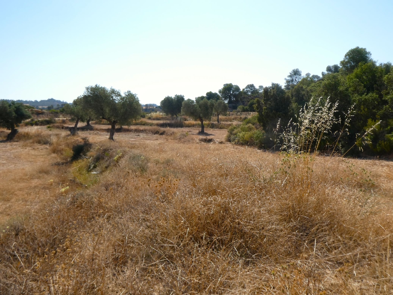  kaufen Landhaus Maella Bajo Aragón-Caspe 12
