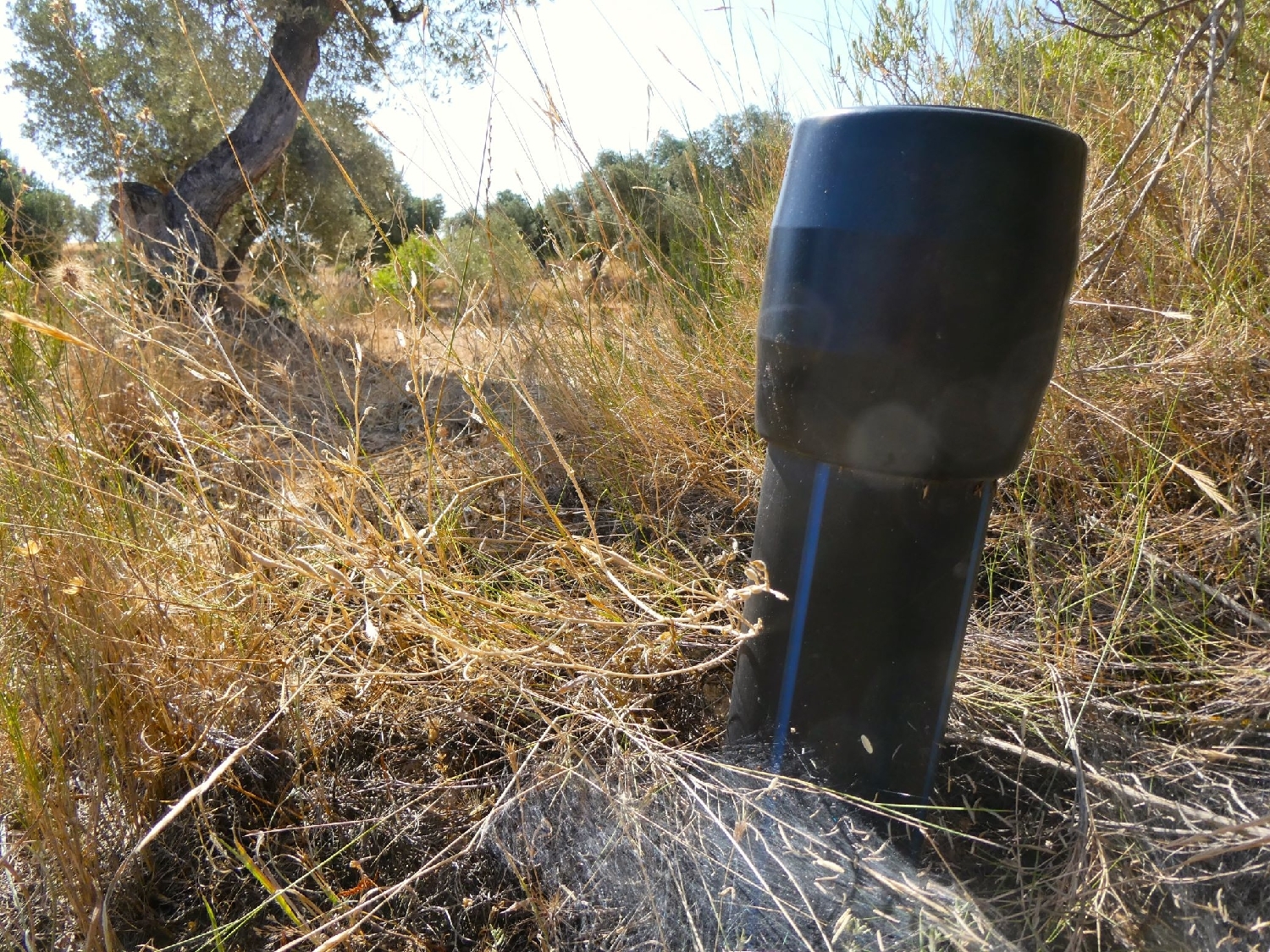 kaufen Landhaus Maella Bajo Aragón-Caspe 8